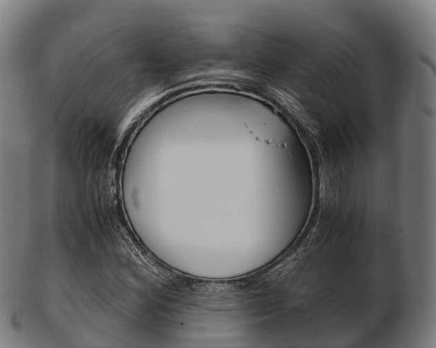 X0000103501164200809121006
