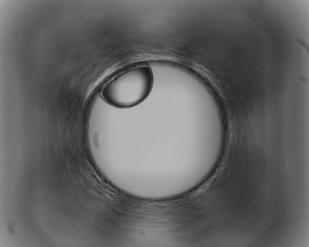 X0000103501165200809121006