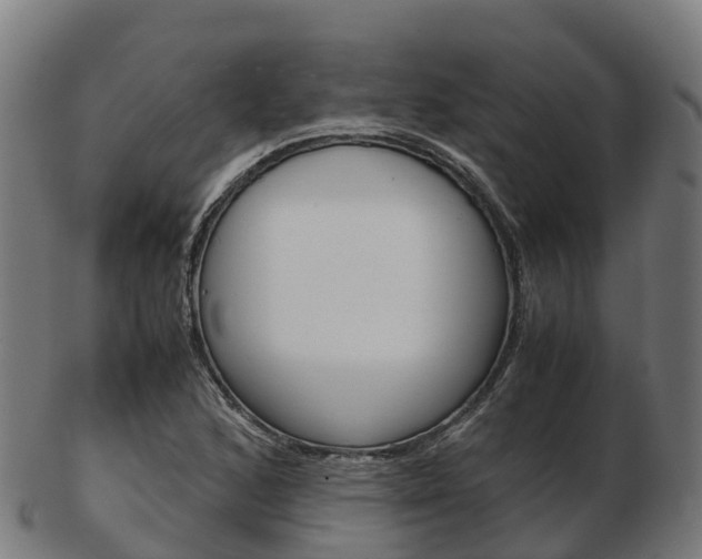 X0000103501168200809121005