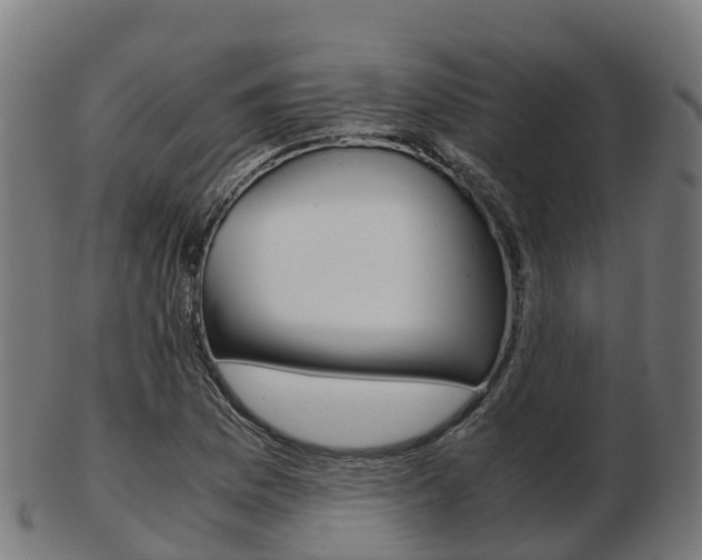 X0000103501169200809121005