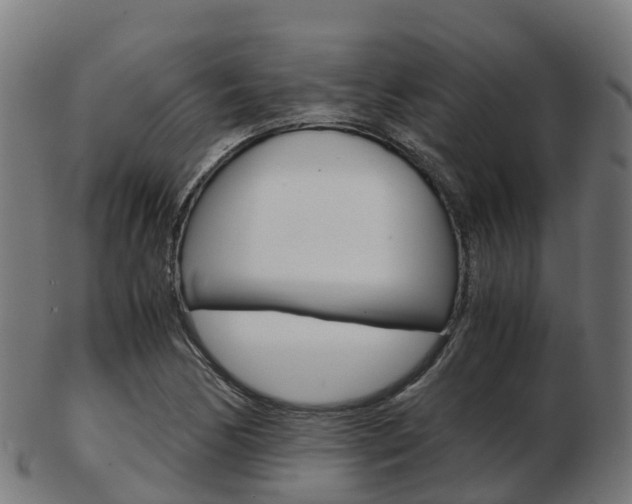 X0000103501170200809121005
