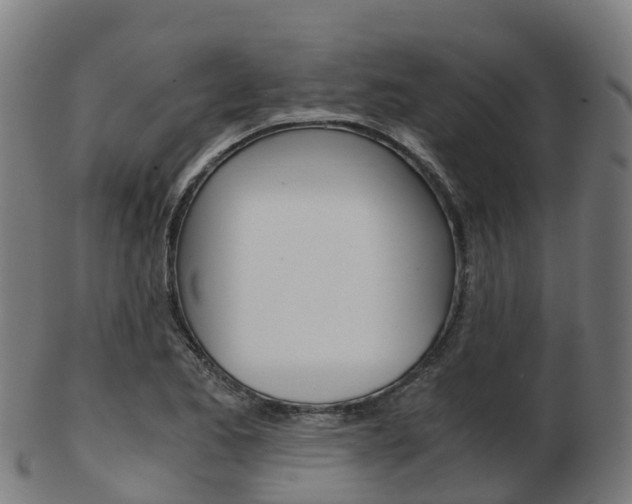 X0000103501173200809121005