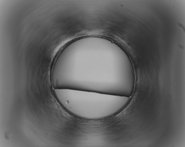 X0000103501174200809121005