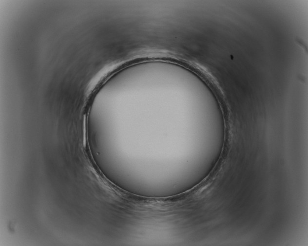 X0000103501175200809121005