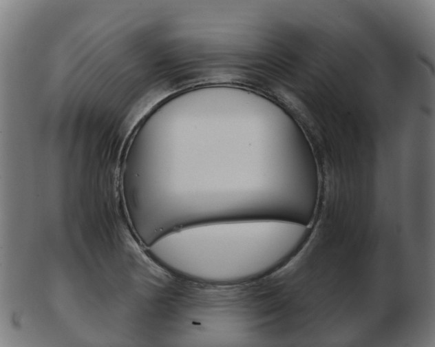 X0000103501178200809121005