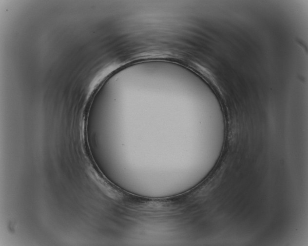 X0000103501179200809121005
