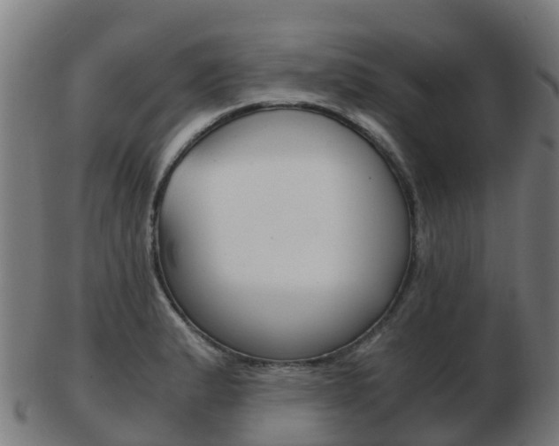 X0000103501183200809121005