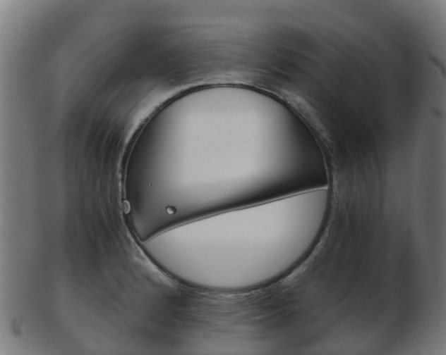 X0000103501184200809121005