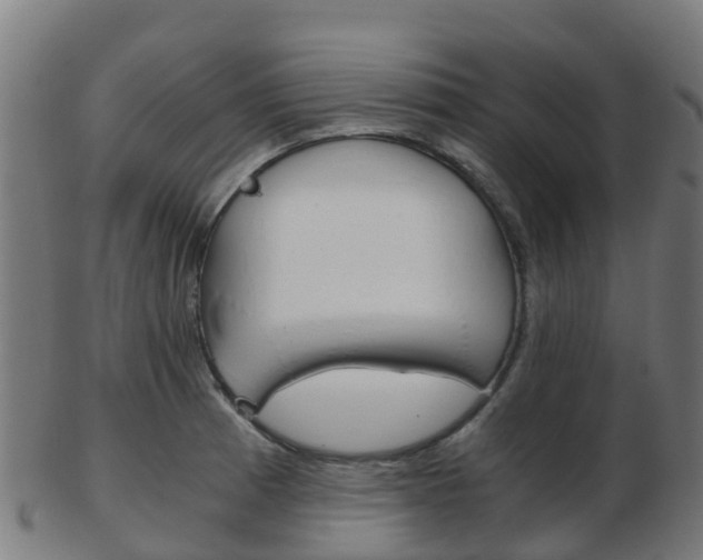 X0000103501185200809121005