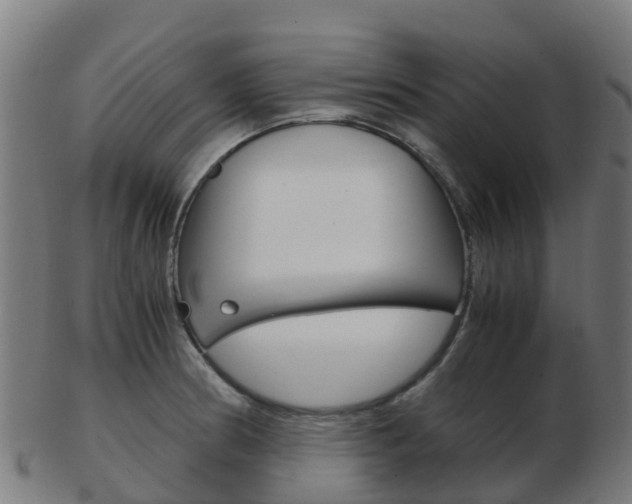X0000103501186200809121005