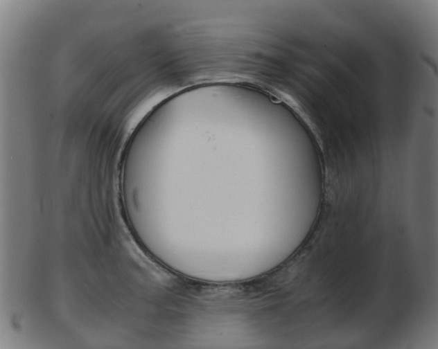 X0000103501187200809121005