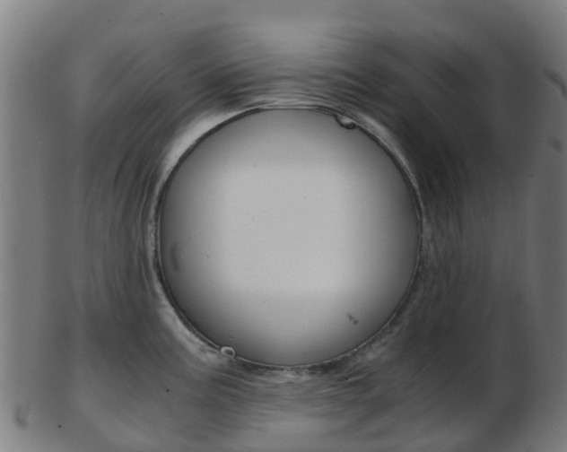 X0000103501195200809121005