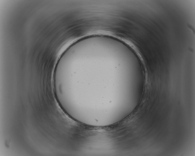 X0000103501199200809121005