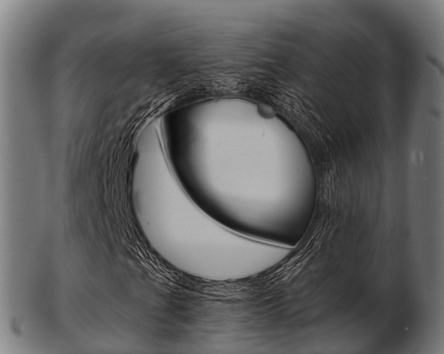 X0000103501201200809121004