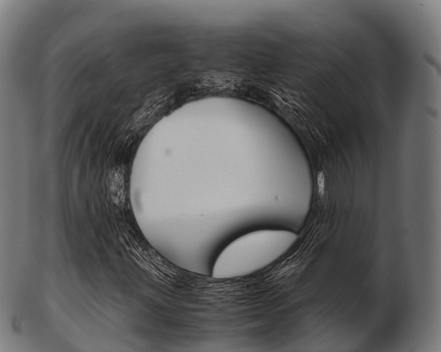 X0000103501203200809121004