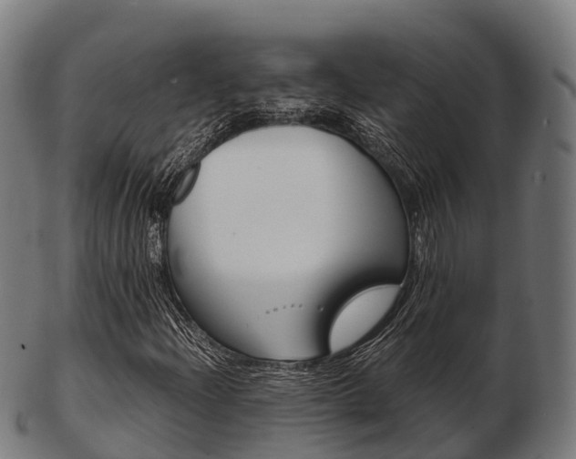 X0000103501204200809121004