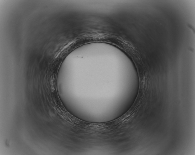 X0000103501205200809121004