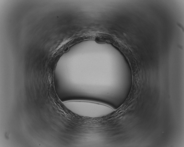 X0000103501206200809121004