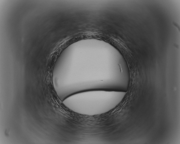 X0000103501207200809121004