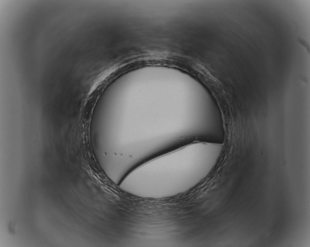 X0000103501208200809121004