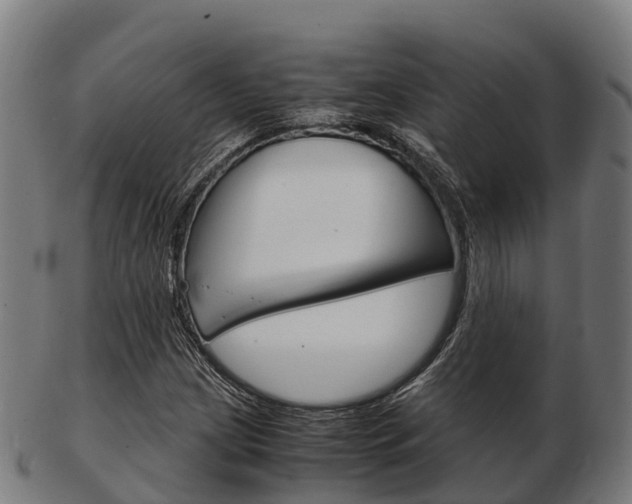X0000103501209200809121004