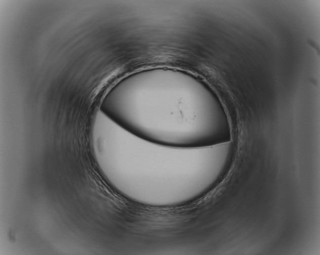 X0000103501210200809121004