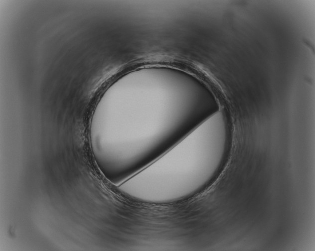 X0000103501213200809121005