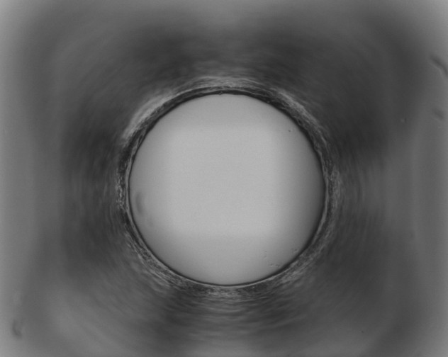 X0000103501215200809121005