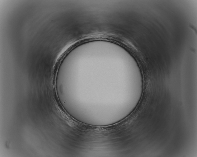 X0000103501216200809121005
