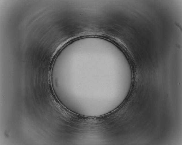 X0000103501220200809121005