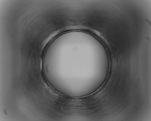 X0000103501221200809121005