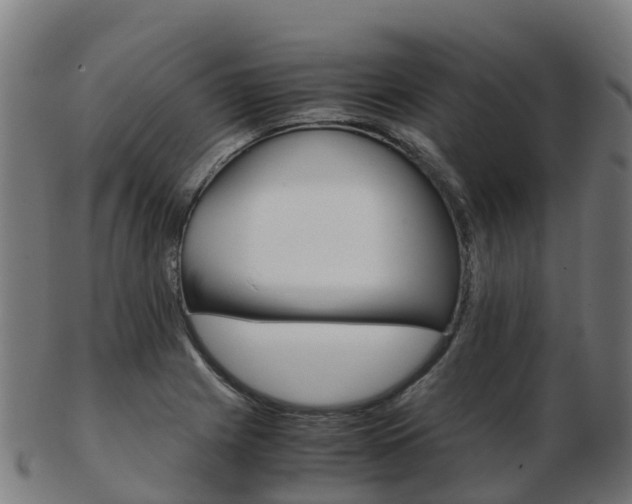 X0000103501225200809121005