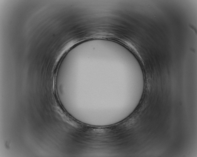 X0000103501227200809121005