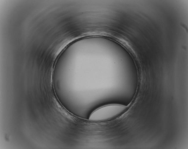 X0000103501228200809121005