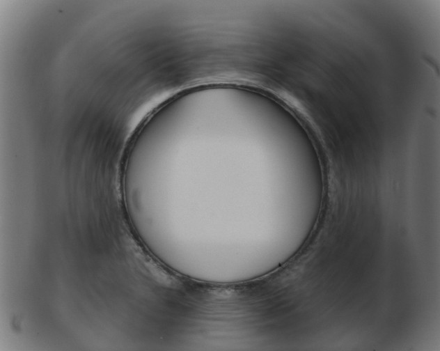 X0000103501230200809121005