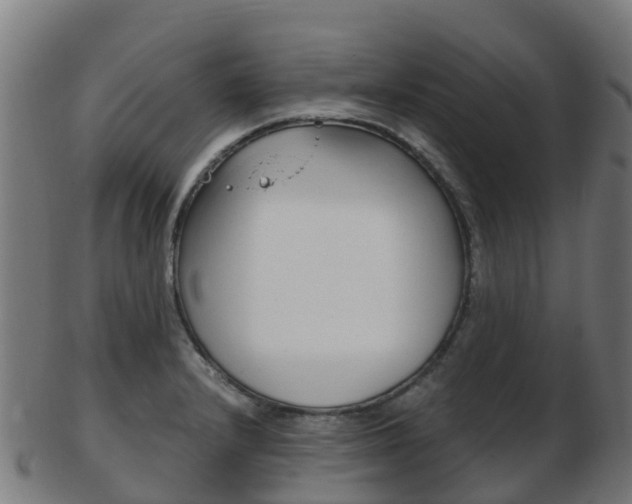 X0000103501232200809121005