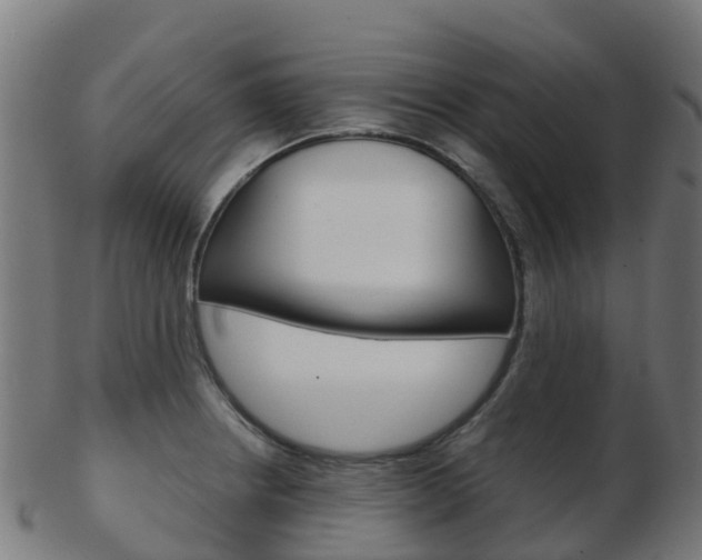 X0000103501234200809121005