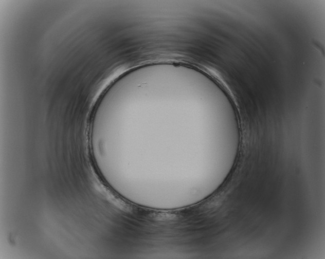 X0000103501235200809121005
