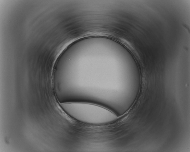 X0000103501236200809121005