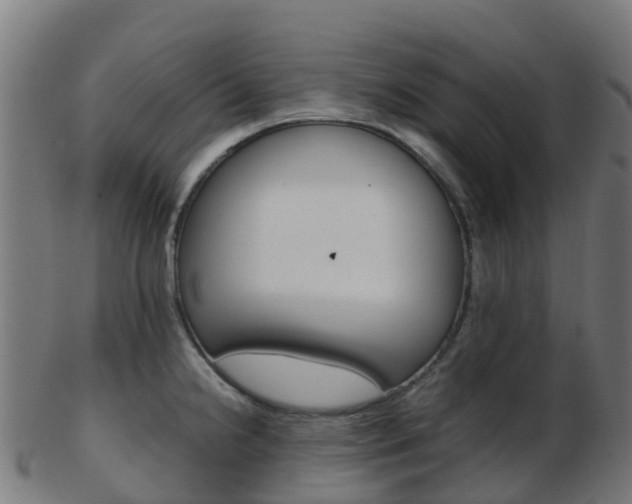 X0000103501238200809121005
