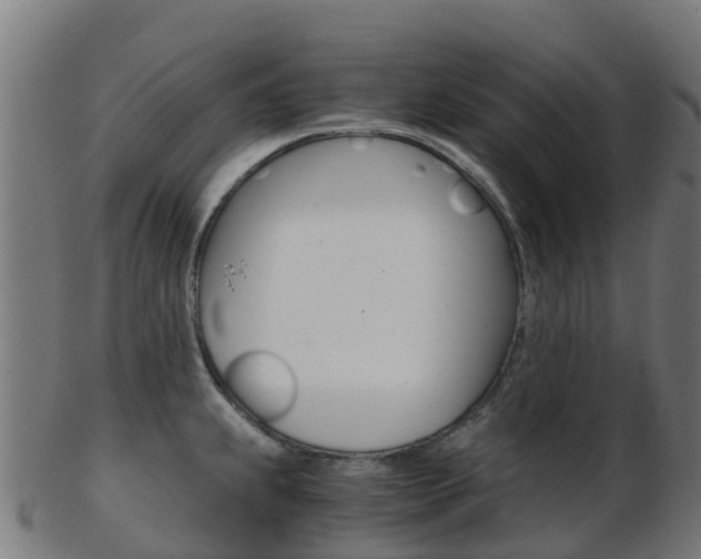 X0000103501239200809121005