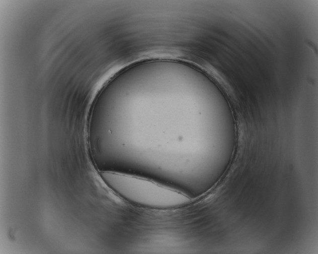 X0000103501240200809121005