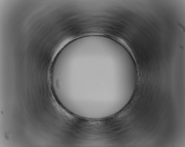X0000103501243200809121005