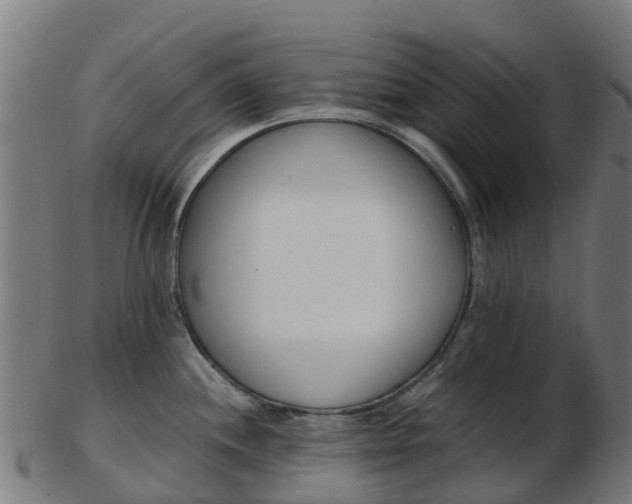 X0000103501244200809121005