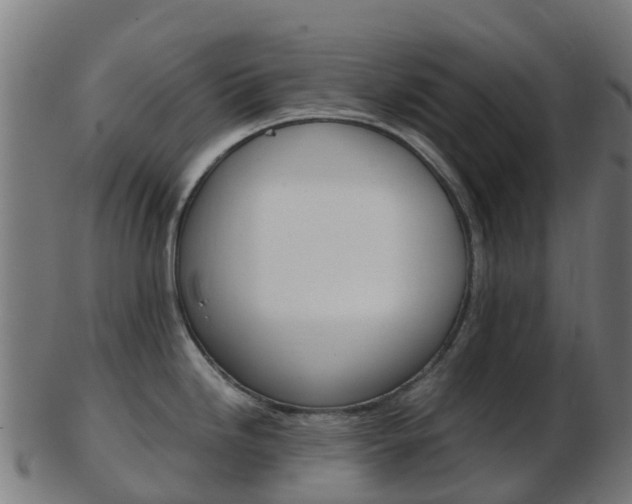 X0000103501246200809121005