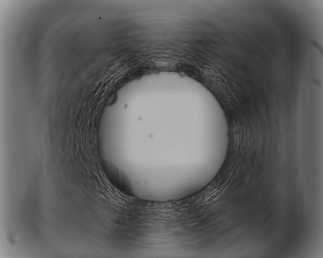 X0000103501249200809121004
