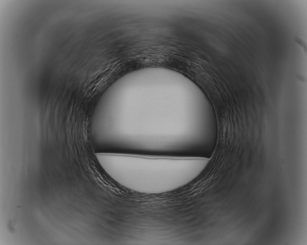 X0000103501250200809121004