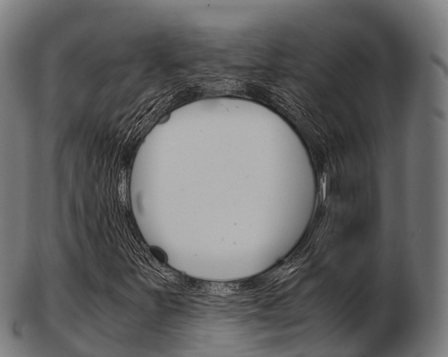 X0000103501251200809121004