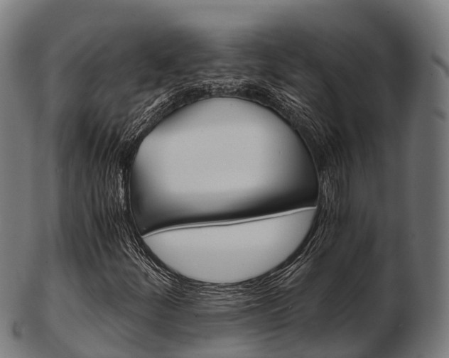 X0000103501252200809121004