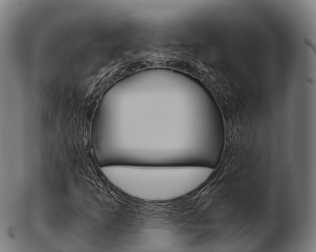X0000103501253200809121004